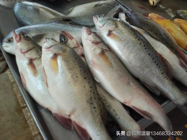 草海旅游景点门票价格， 草海旅游景点门票价格表