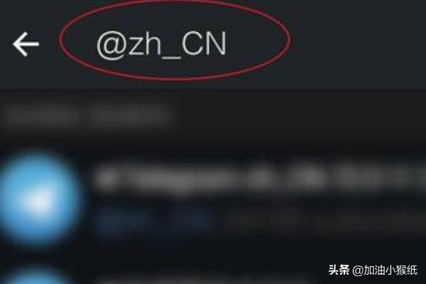 纸飞机怎么下载注册视频