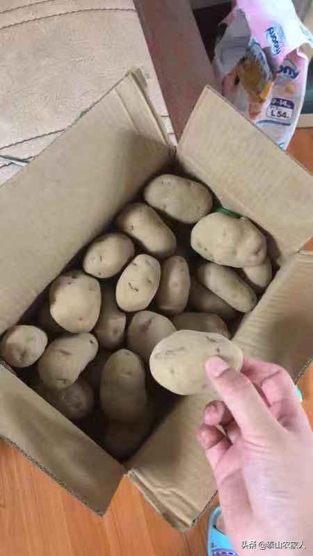 什么地方生产的土豆最好吃？