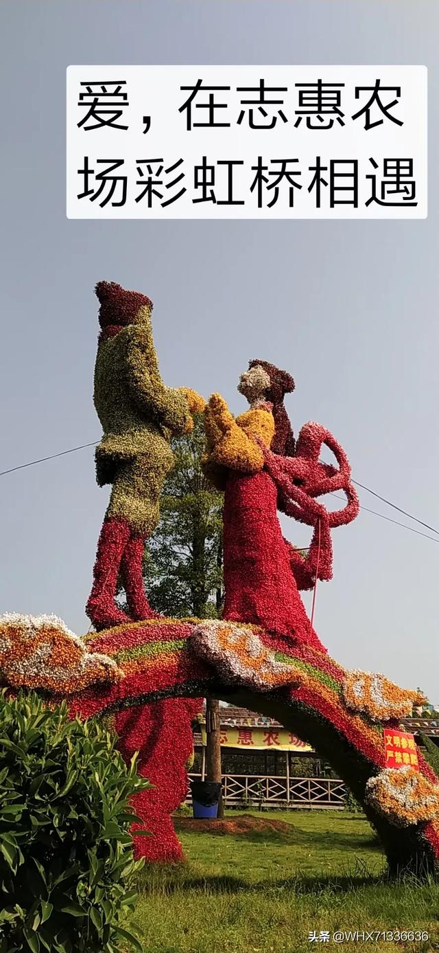 过年广州市有什么农庄