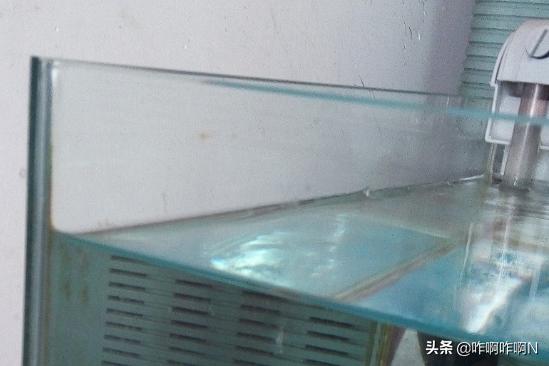 如何自己更换鱼缸抽水泵的过滤网,第2张