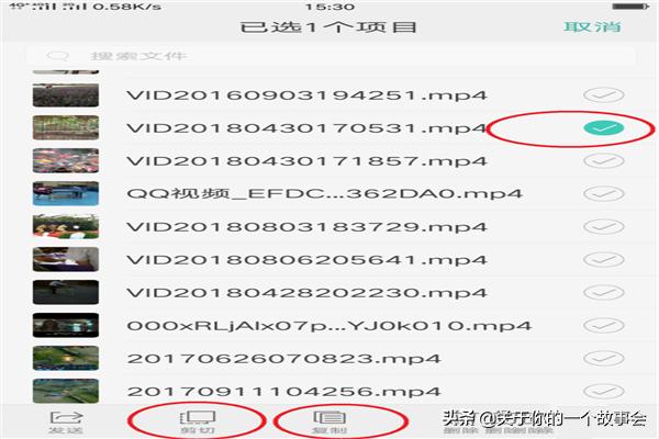 快手一菜一饭的做法视频(图2)