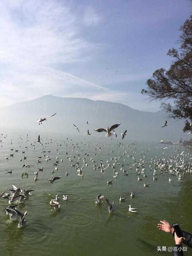 云南旅游攻略情侣穿搭， 云南旅游情侣必去的景点