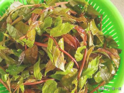 香椿拌豆腐-香椿拌豆腐的做法凉拌