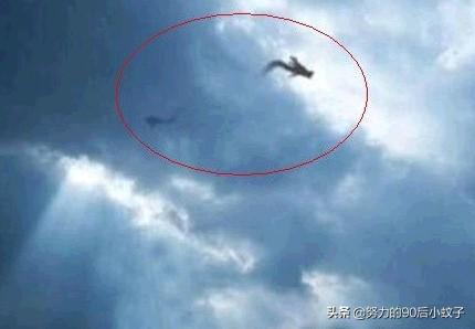 地球未解之谜大全_地球未解之谜作者简介