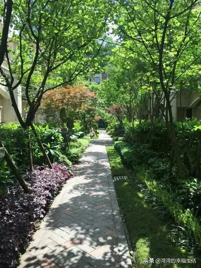 重庆老小区哪个环境好些