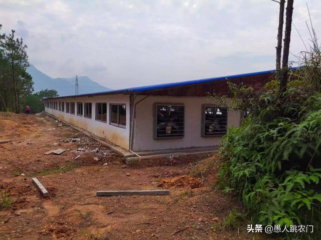 廊坊市生猪价格-廊坊市生猪价格今日猪价