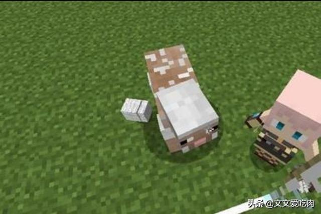 minecraft pe版下载 minecraft pe-第10张图片-春华游戏网