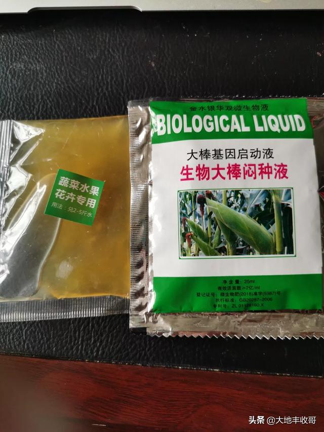 玉米种子哪个品种好