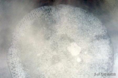 7个月宝宝怎么吃西兰花(图3)