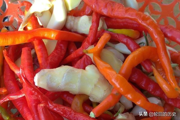 青椒泡酒有什么功效(图4)