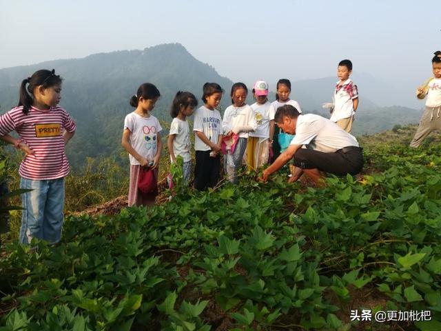 班级的集体活动有哪些