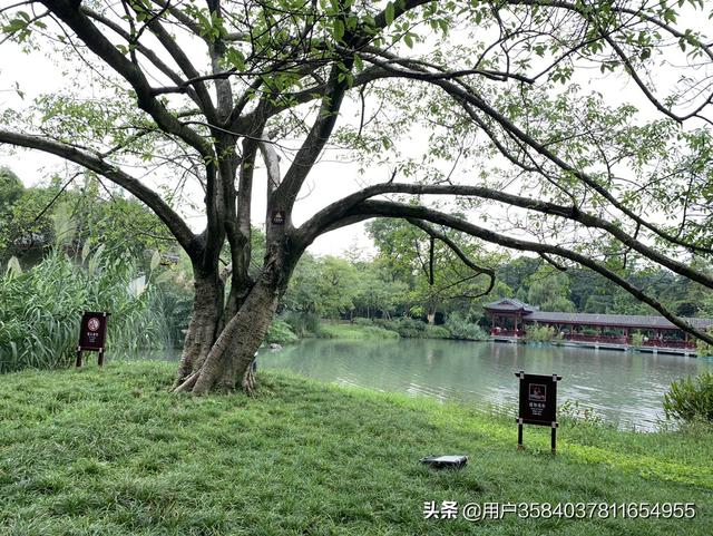 南京背起行囊旅游攻略路线， 背起行囊是什么意思?