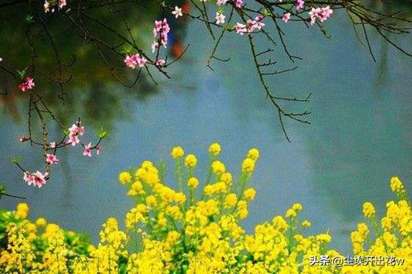 女教师纱也香（女教师风采）