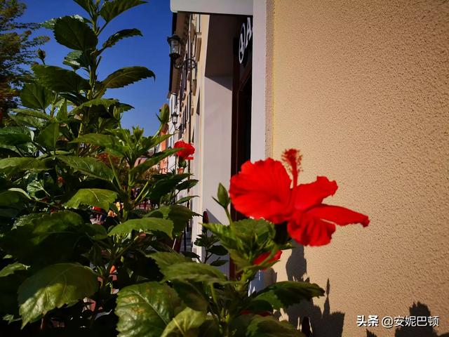 秋天选择哪个城市旅游最好