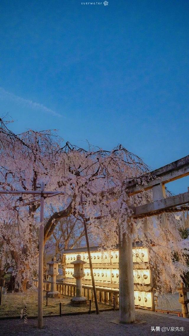 适合学生去的旅游地点便宜,适合学生旅游的地方便宜