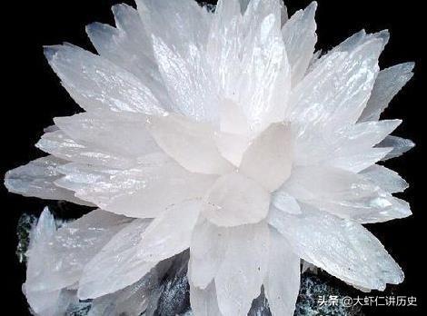 什么是晶体(什么是晶体和非晶体)