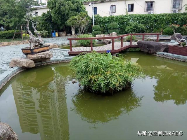 厦门市哪个公园好