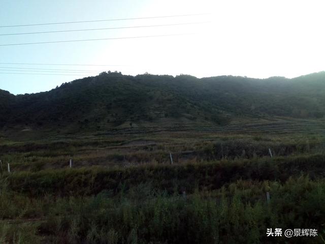 山地果园智能化种植,山地果园智能化种植方案