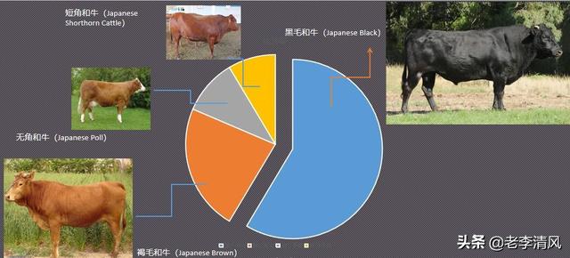 和牛的等级判定,第3张