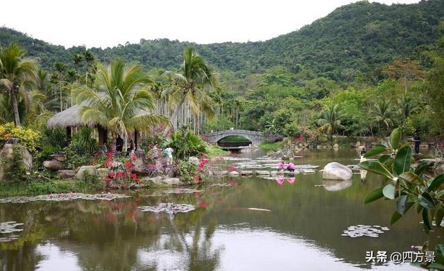 去三亚自由行怎么玩（去三亚玩怎么玩）