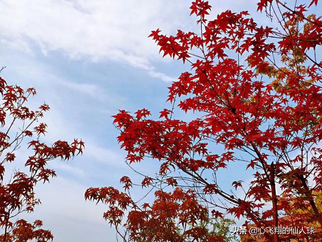 西安市杨陵区怎么样