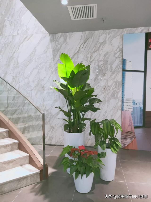 管理如何落实(如何落实严格管理)