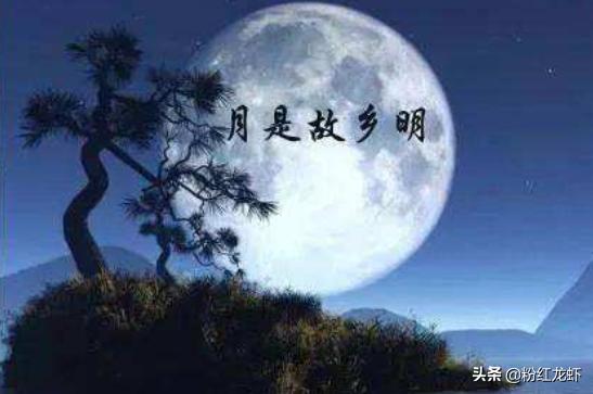 月是故乡明主要内容（月是故乡明主要内容50字）