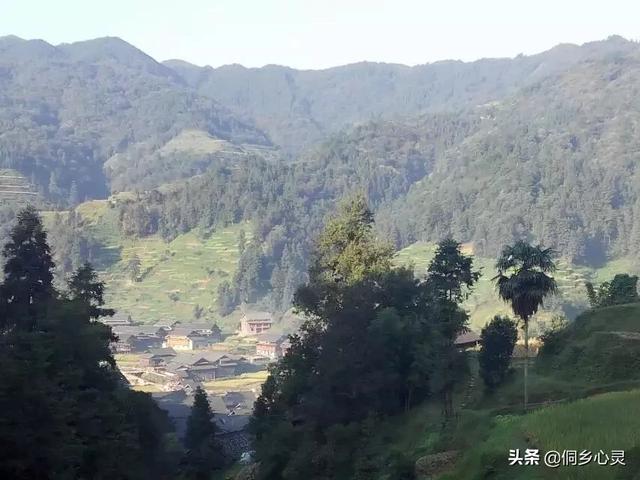 生命的理解（陶渊明对生命的理解）