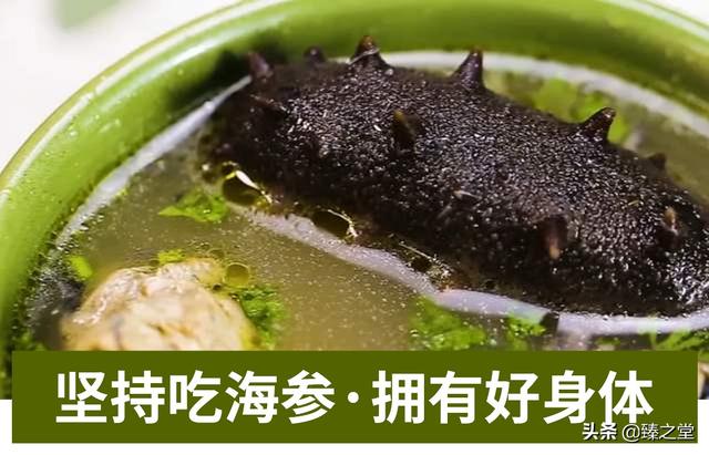 海参有什么特点和功效(图7)