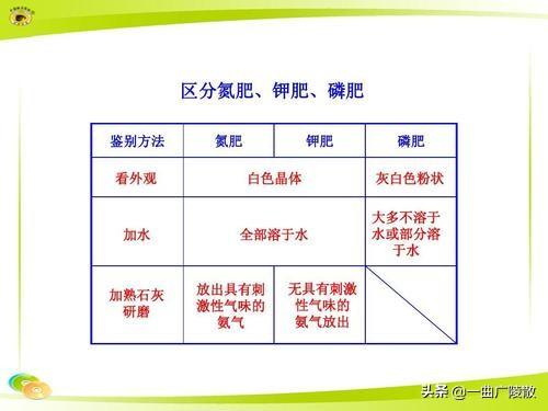 影响花卉生长发育的主要生态因子-影响花卉生长发育的主要生态因子有哪些