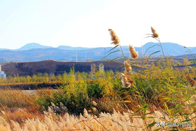 剪影效果剪影效果的照片怎么拍