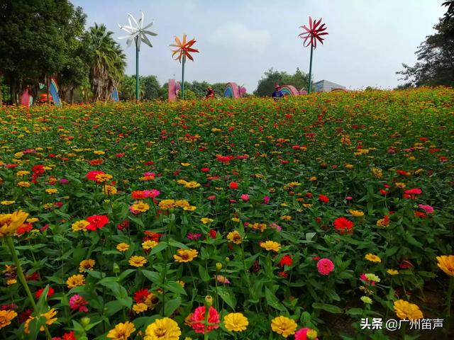 迪庆藏族自治州香格里拉市纸飞机账号购买