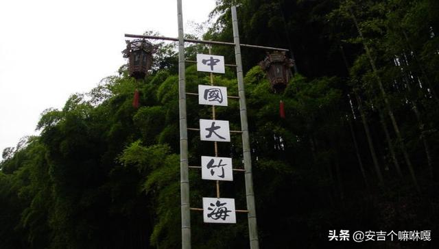 安吉白茶小篆字体