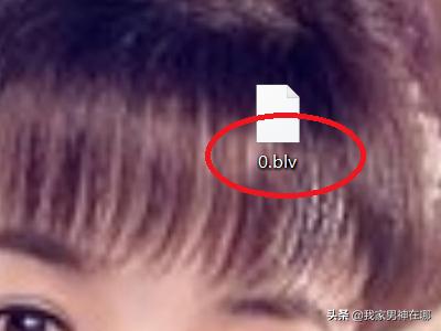 flv下载（在电脑上怎么下载视频到u盘flv版本号？）