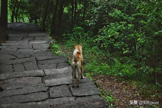 福建带妹子旅游怎么样