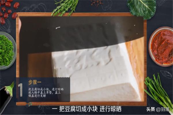 豆腐乳怎么做_豆腐乳怎么做的视频教程