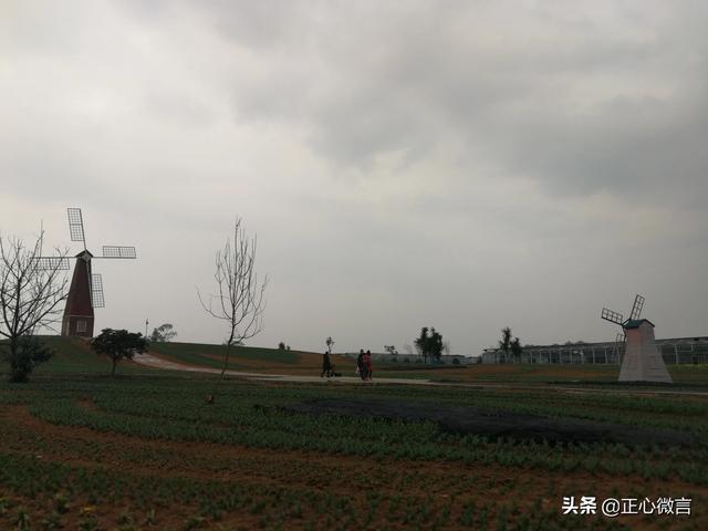 人生没目标怎么办(图2)