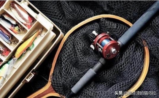 美食铁板鮰鱼做法（江苏省24道名菜排名？）