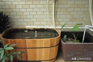 庭院水池布局？：庭院池塘景观设计