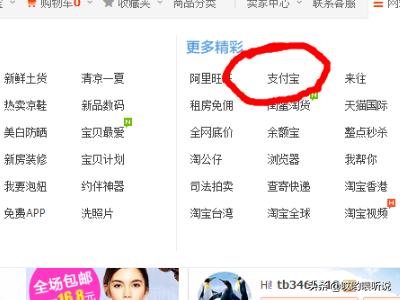 如何在淘宝网页查看支付宝信息在哪查看支付宝