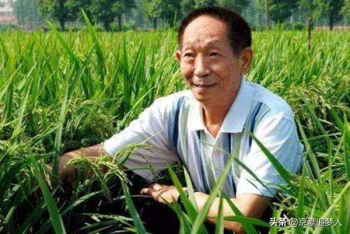 全国饲料评审委员会-全国饲料评审委员会评审原则