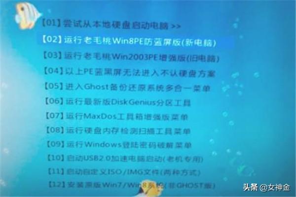 如何用老毛桃装系统？：老毛桃系统