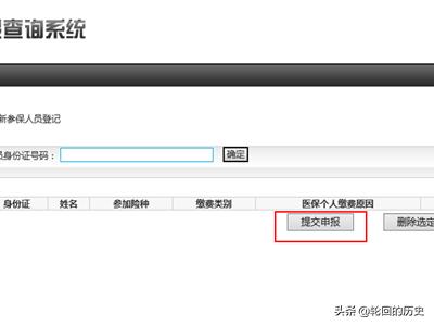 北京社会保险服务个人平台，北京社会保险服务个人平台官网