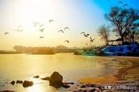 大连市是什么半岛