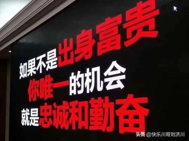 老板喜欢什么样的女人(图4)