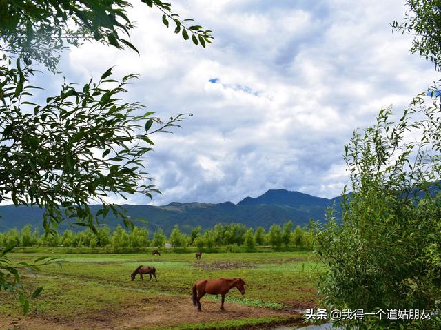 寒假国内最佳旅游地云南