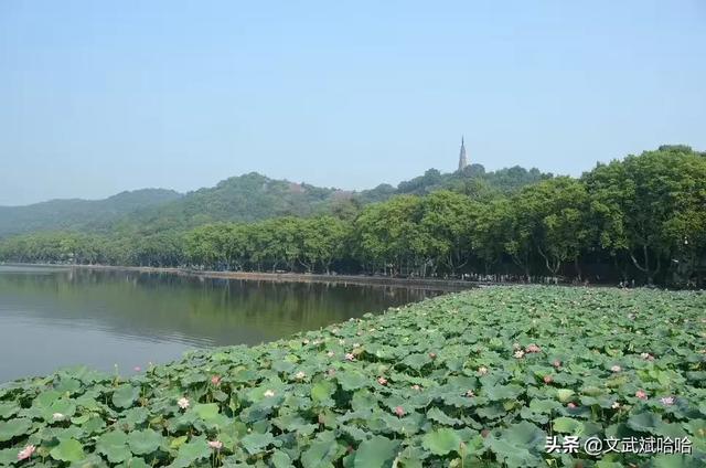 过年上海周边有哪些适合短途自驾游的地方？：上海短途旅游