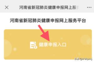 河南省国家税务局网站推出在线办税系统，提升纳税效率，河南省税务局网上办税