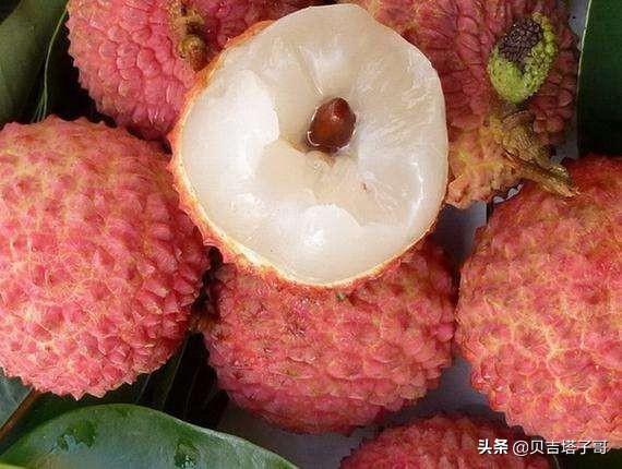 云南昆明市五华区采摘园农家乐十大顶级农家乐,昆明市五华区附近农家乐